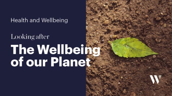 The Wellbeing of our Planet