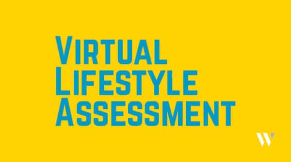 The Virtual Lifestyle Assessment Programme