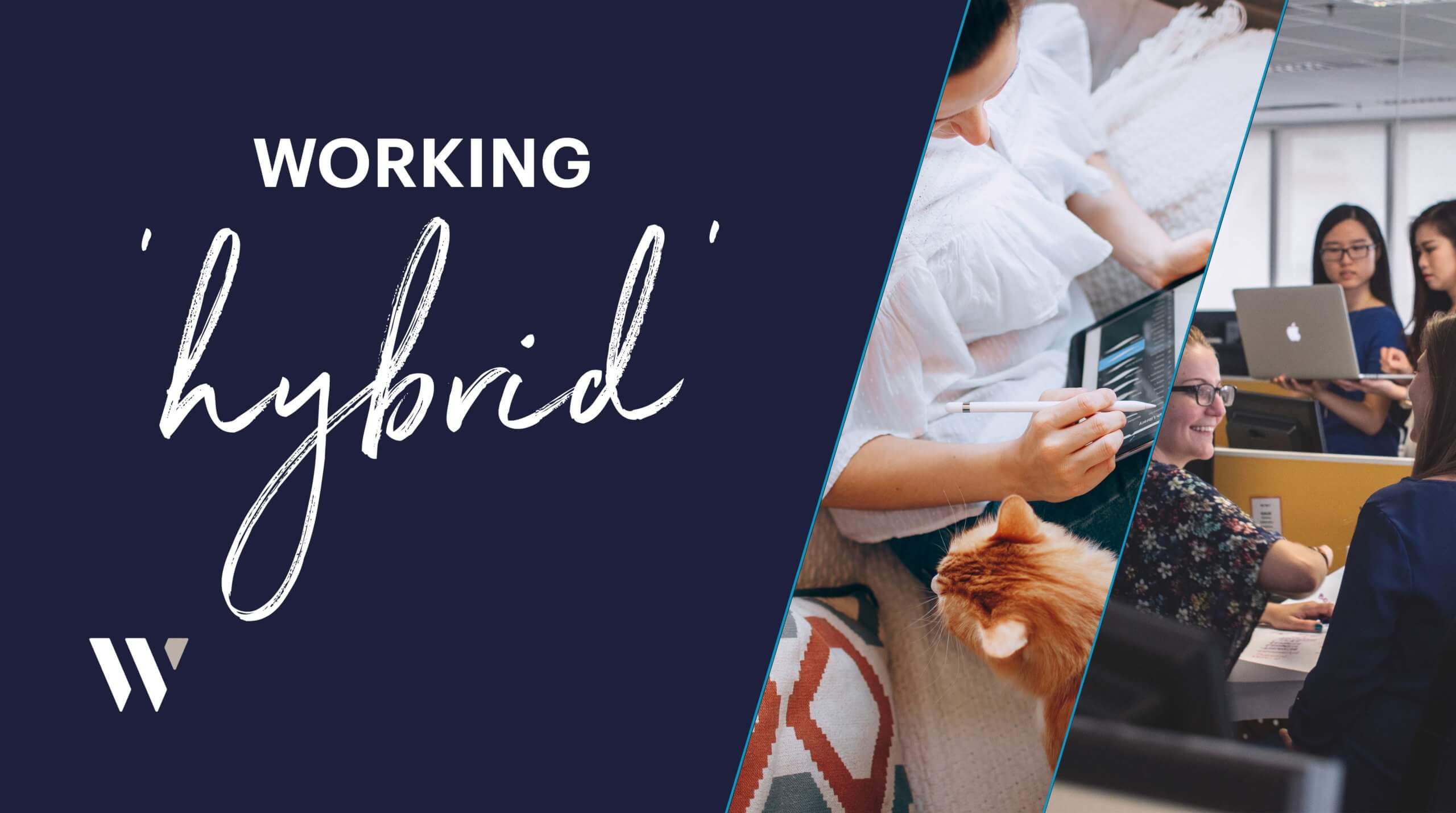 Hybrid Working | Whyfield