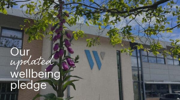 Our wellbeing pledge | Whyfield Accountants in Truro, Cornwall