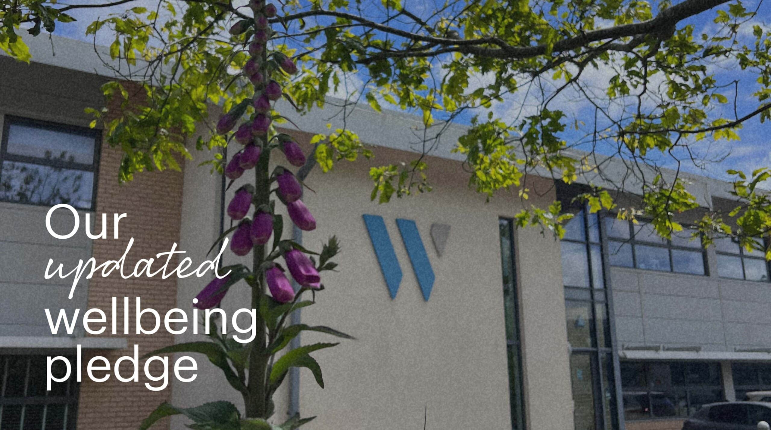 Our wellbeing pledge | Whyfield Accountants in Truro, Cornwall